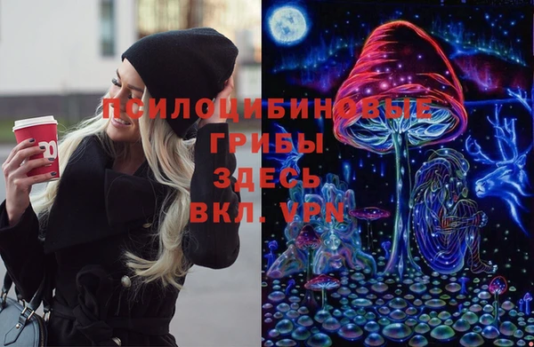 гидра Баксан