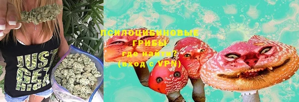 бутират Снежногорск
