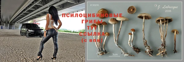 гидра Баксан