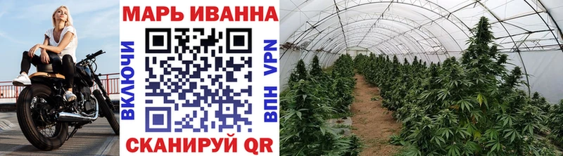 Канабис семена  площадка официальный сайт  Котельниково  как найти закладки  мега зеркало 